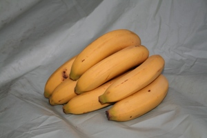 Aangespoelde bananen naar Emmen