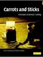 Carrots and sticks