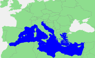 Krimpende haaienpopulatie in de Middellandse Zee
